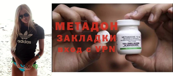 индика Аркадак