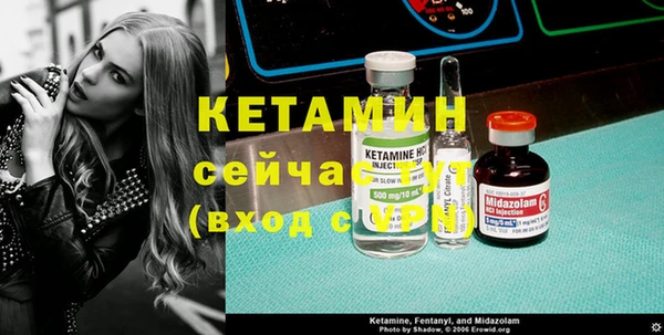 индика Аркадак