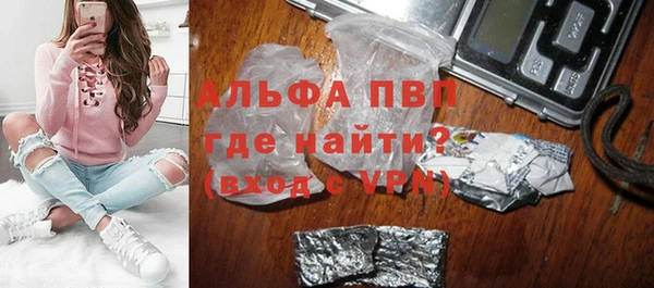 индика Аркадак