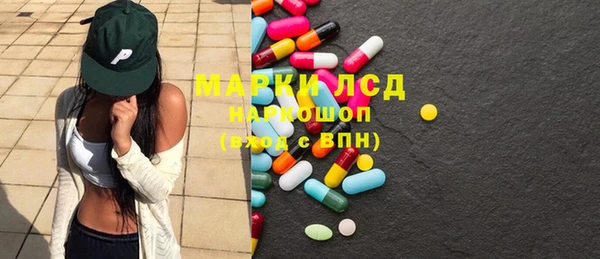 индика Аркадак