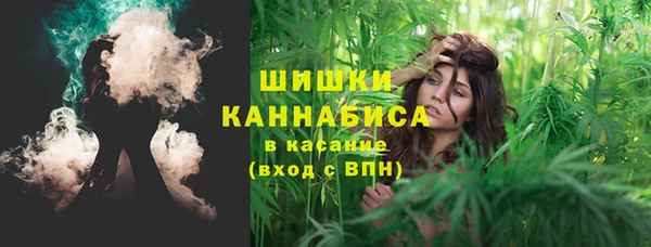 индика Аркадак