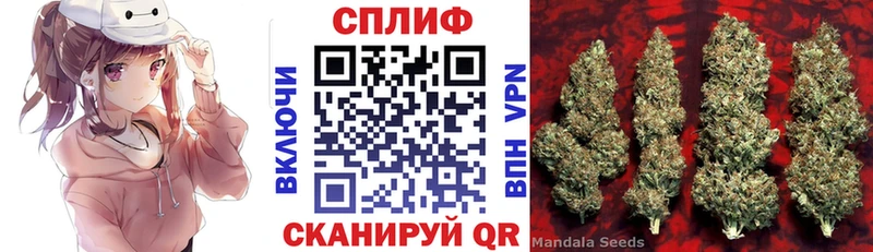 Бошки марихуана план наркотики Зверево